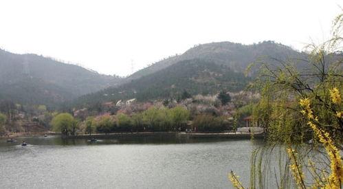 十梅庵今日爆料最新消息,今日最新爆料震撼来袭！  第1张